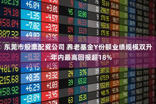 东莞市股票配资公司 养老基金Y份额业绩规模双升，年内最高回报超18%