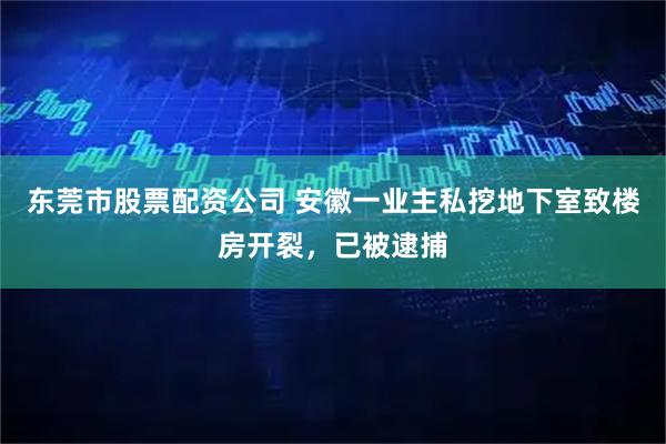 东莞市股票配资公司 安徽一业主私挖地下室致楼房开裂，已被逮捕