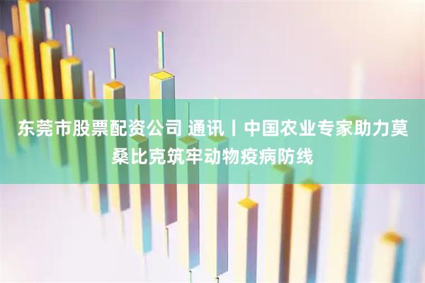 东莞市股票配资公司 通讯丨中国农业专家助力莫桑比克筑牢动物疫病防线