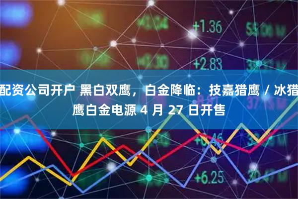 配资公司开户 黑白双鹰，白金降临：技嘉猎鹰 / 冰猎鹰白金电源 4 月 27 日开售